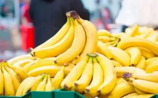 Son prix passe de 850 à 420 DA/kg : l&rsquo;État recadre le marché de la banane