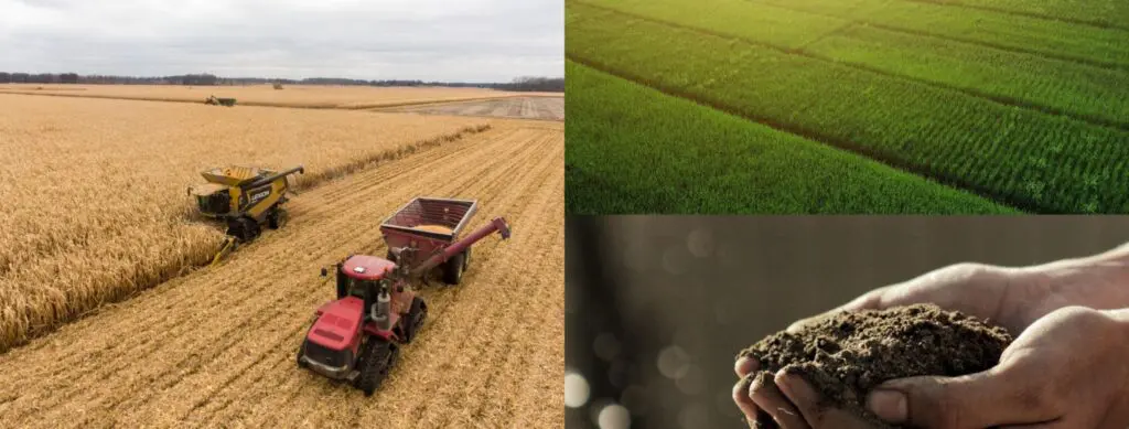 Rôle clé de l&rsquo;agriculture dans l&rsquo;économie algérienne avec 35 Mds $ de contribution au PIB