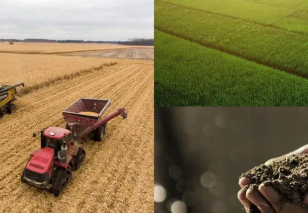 Rôle clé de l’agriculture dans l’économie algérienne avec 35 Mds $ de contribution au PIB