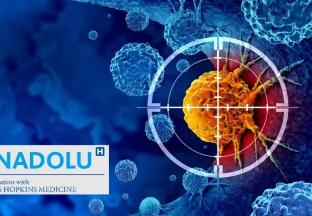 Immunothérapie du cancer : questions-réponses pour comprendre ce traitement novateur