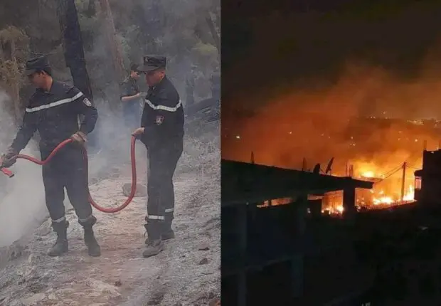 Feux de forêts en Algérie : plusieurs wilayas touchées par les incendies