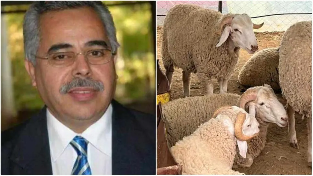 D&rsquo;après Loth Bonatiro, l&rsquo;Algérie fêtera l&rsquo;Aïd el-Adha 2024 à cette date