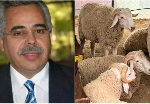 D’après Loth Bonatiro, l’Algérie fêtera l’Aïd el-Adha 2024 à cette date