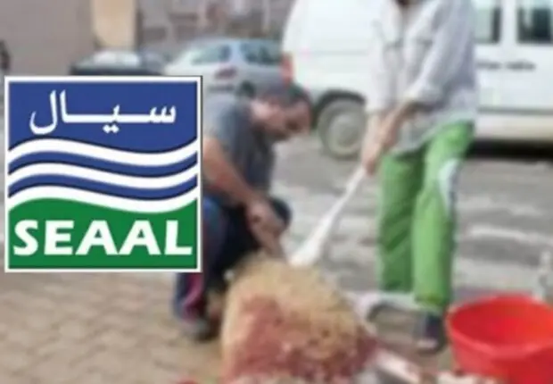 Aïd Al-Adha 2024 : SEAAL relève son défi malgré les contraintes