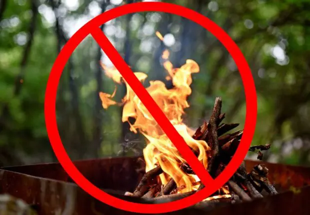 Alger : Barbecues et camping dans les forêts interdits jusqu’à cette date