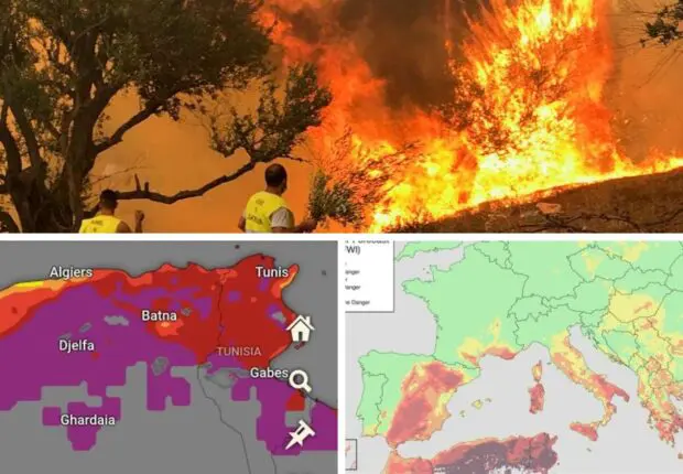 Canicule et risque d’incendie : Alerte rouge sur l’Algérie