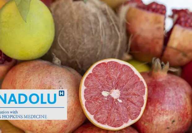 Alliés insoupçonnés de votre foie : découvrez les pouvoirs du citron et du pamplemousse