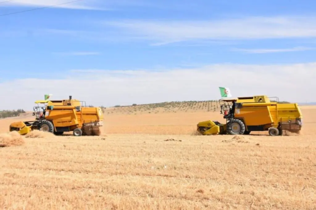 Agriculture : la date de lancement du mégaprojet algéro-italien connue