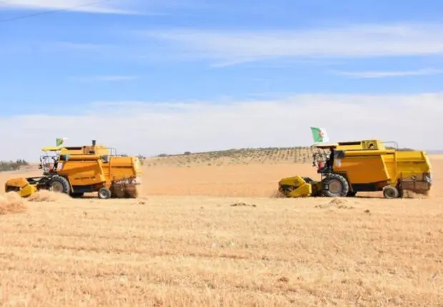 Agriculture : la date de lancement du mégaprojet algéro-italien connue