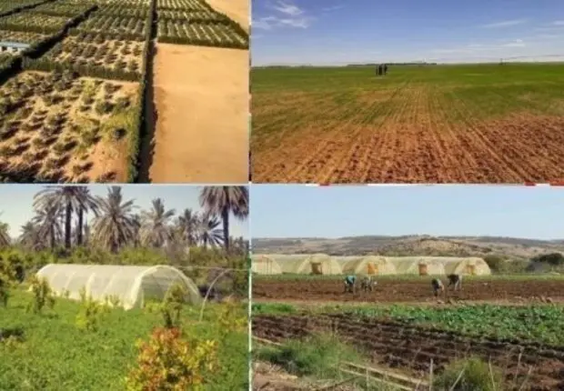 L’ONTA : Ouverture des inscriptions pour la récupération des terres agricoles dès demain