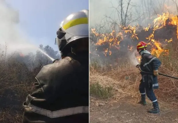 Feux de forêt en Algérie : plusieurs feux déclarés à travers le pays