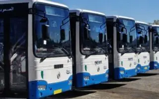Transport à Alger : l&rsquo;ETUSA déploie 17 nouvelles lignes pour désenclaver les pôles urbains