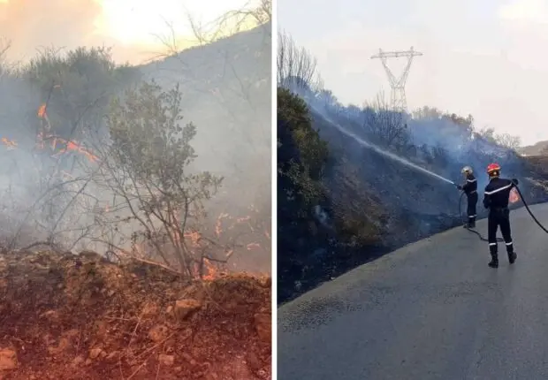 Bejaïa, Tizi Ouzou, Tipaza… 22 feux de forêts enregistrés en une journée