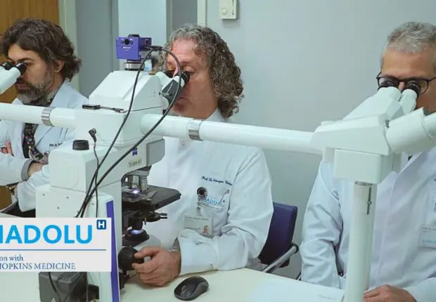 Méthode CTC : détecter le cancer par un simple prélèvement sanguin