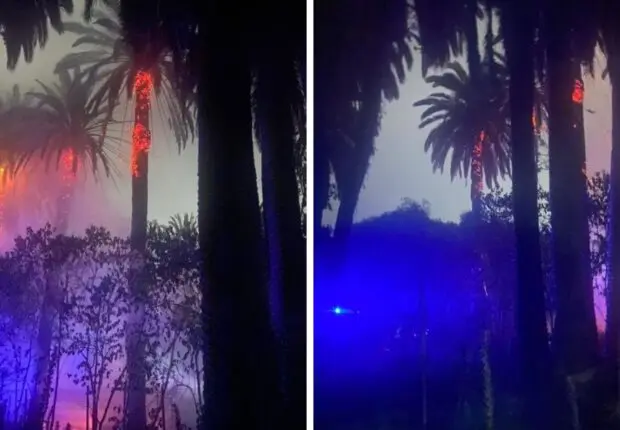 Incendie au Jardin d&rsquo;Essai d&rsquo;El Hamma : une catastrophe écologique évitée de justesse