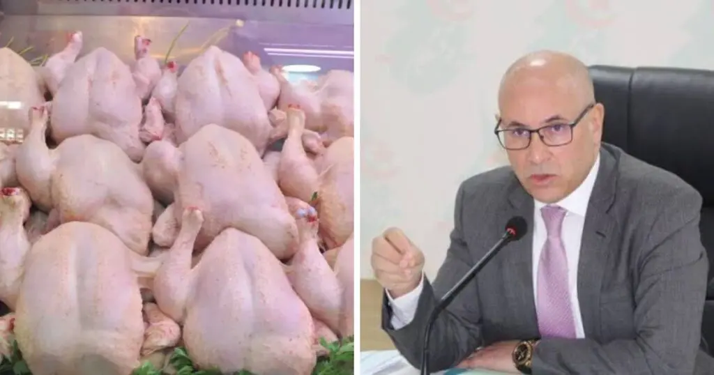Zitouni menace la « mafia » du poulet : le marché inondé de 11 000 tonnes de volaille pour casser les prix