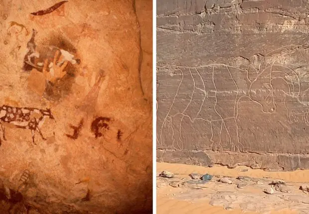 Algérie : cette inestimable merveille de la préhistoire pourrait disparaître à jamais