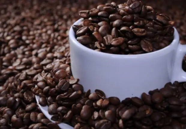 Plafonnement des prix du café : Voici les nouveaux tarifs officiels fixés par l’État