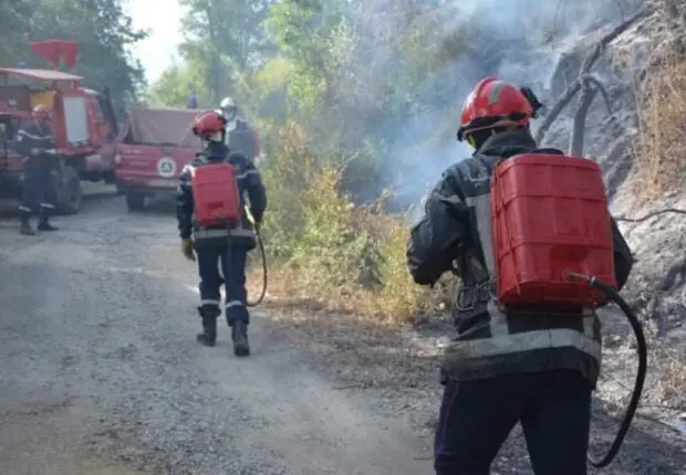Incendies en Algérie : plusieurs feux de forêt déclarés à travers le pays