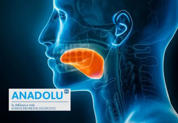 Cancer de la langue : de la prévention au traitement, un guide complet