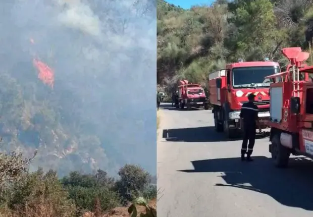 Incendies en Algérie : plusieurs feux déclarés à travers le pays