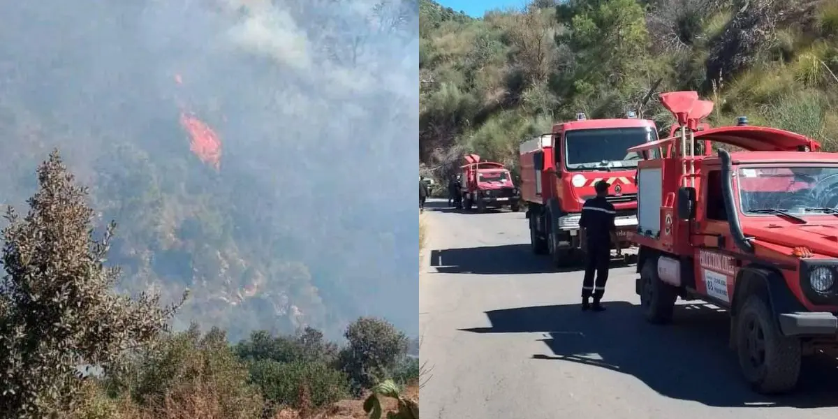 Incendies en Algérie : plusieurs feux déclarés à travers le pays