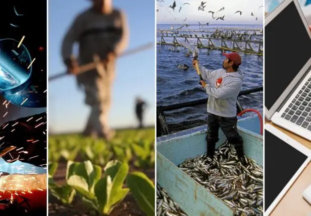 Rentrée 2024 – Formation professionnelle : plus de 380 000 nouvelles places pédagogiques disponibles