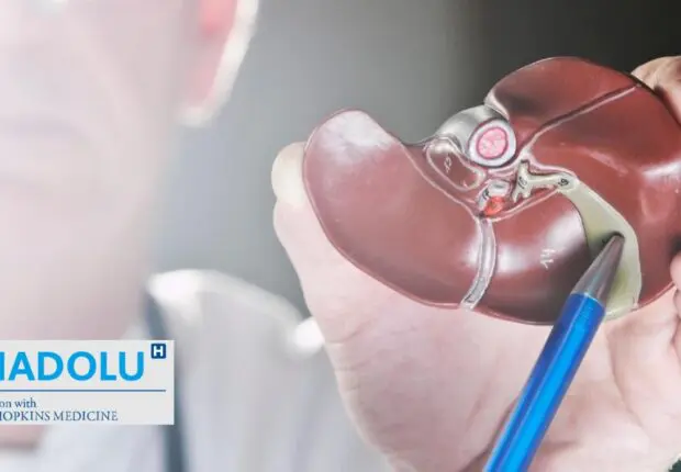 Chirurgie de Whipple pour le cancer du pancréas: quand, pourquoi et comment ?