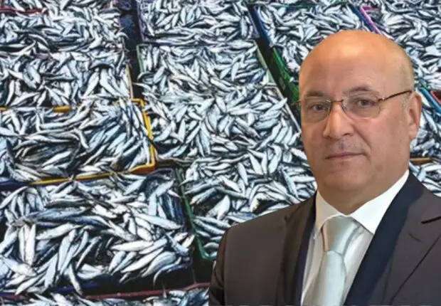 Chute spectaculaire du prix de la sardine (300 DA/kg) : Le coup de maître de Zitouni