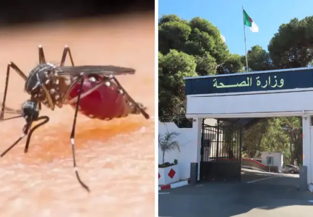 Le sort s’acharne sur le Sud algérien : Tous les médecins rappelés d’urgence face à la crise