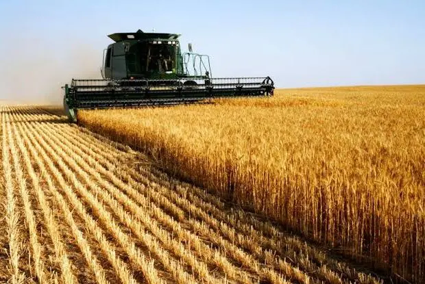 Agriculture en Algérie :  nouveau projet algéro-qatari dans la wilaya d’El Ménia