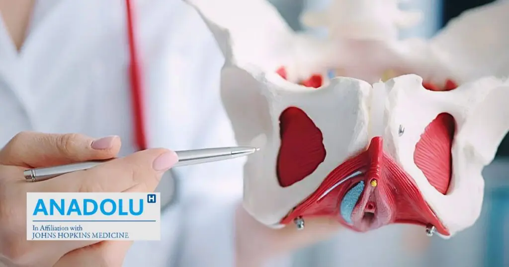 Fuites urinaires, prolapsus : la chirurgie du plancher pelvien, une solution durable