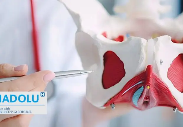 Fuites urinaires, prolapsus : la chirurgie du plancher pelvien, une solution durable