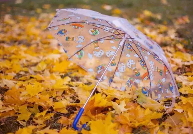 Alerte météo en Algérie : la pluie va-t-elle persister ce mercredi 4 septembre ?