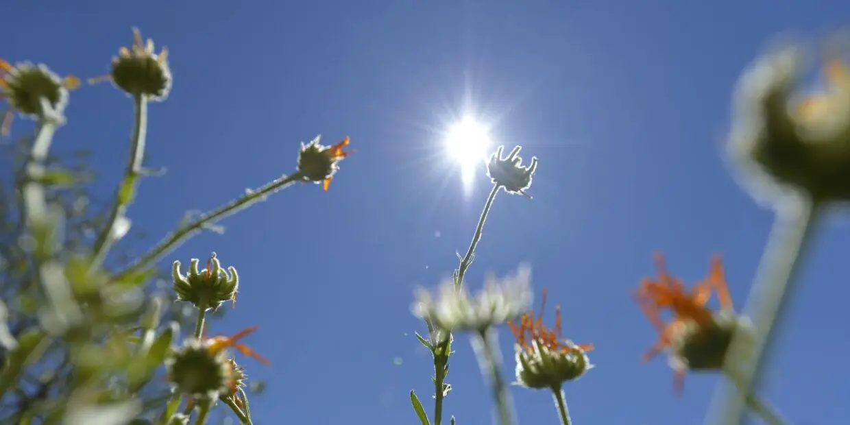 Prévisions météo pour le lundi 2 septembre : quel temps fera-t-il aujourd’hui en Algérie ?
