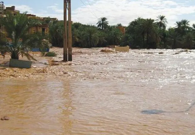 L’Algérie se prépare à l’adaptation climatique : un plan national en cours d’élaboration