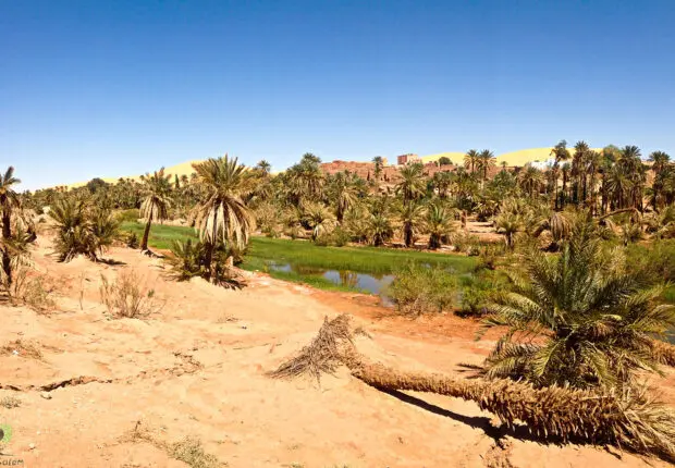 Lancement de la campagne du tourisme saharien : La Saoura se dévoile aux voyageurs