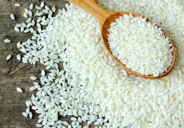 Les prix du riz en chute libre : un niveau record de 16 ans atteint sur le marché mondial