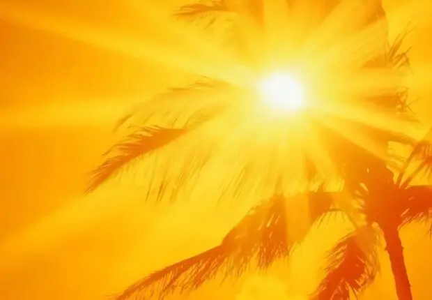 Record de chaleur en plein automne : 5 villes algériennes parmi les plus chaudes de la planète