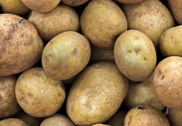 Pénurie et prix de la pomme de terre : les autorités prennent des initiatives