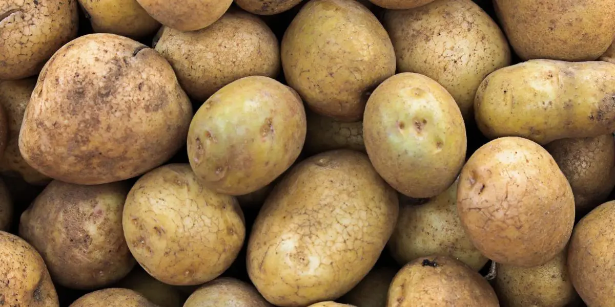 Pénurie et prix de la pomme de terre : les autorités prennent des initiatives