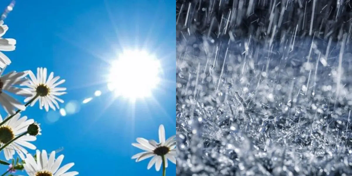 Bulletin Météo Spécial en Algérie : Averses dans certaines régions, chaleur intense dans d’autres