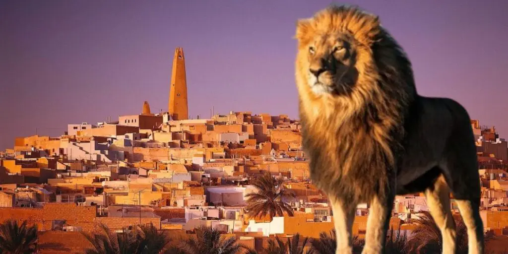Ghardaïa : Un lion saisi illégalement dans une zone agricole