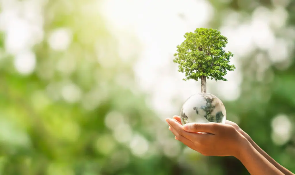 Indice environnemental 2024 : l&rsquo;Algérie, 2ᵉ pays arabe le plus respectueux de la nature