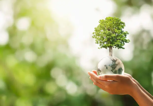 Indice environnemental 2024 : l’Algérie, 2ᵉ pays arabe le plus respectueux de la nature