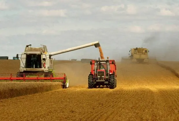 Partenariat italo-algérien : Voici la date du lancement du projet agricole à Timimoun