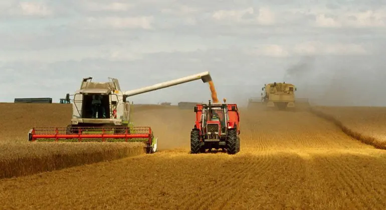 Partenariat italo-algérien : Voici la date du lancement du projet agricole à Timimoun