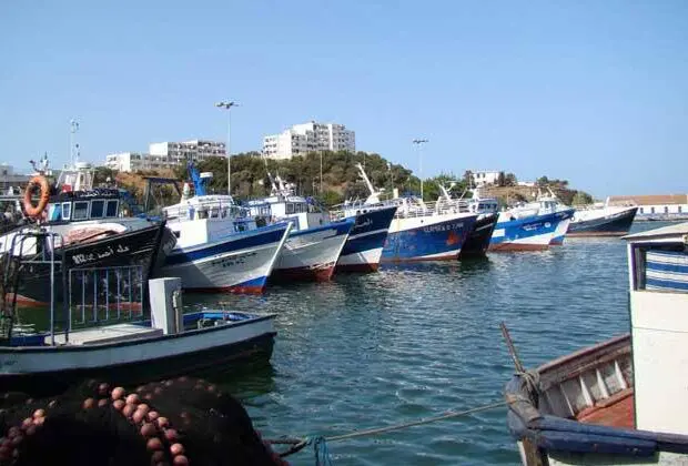 L’Algérie veut faire de la pêche un moteur économique