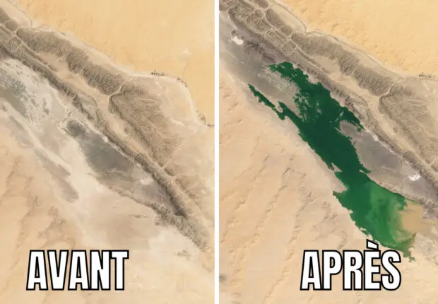 Images intrigantes : la NASA capture l’apparition d’un lac vert géant dans le Sahara algérien