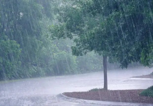 BMS – Météo Algérie : début de semaine pluvieux, plusieurs wilayas sous vigilance ce 27 octobre